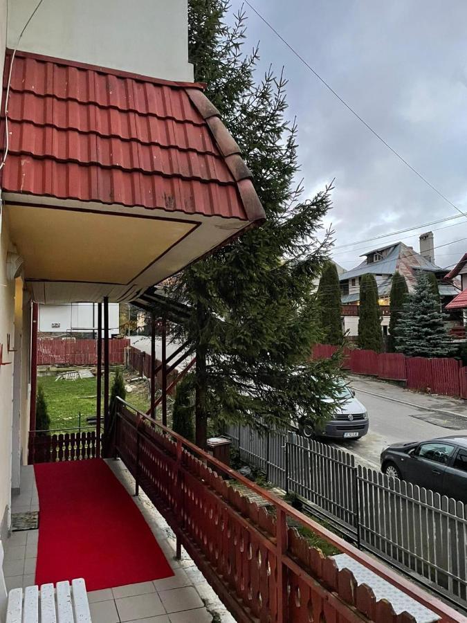 Cristina, Alex Si Prietenii Hotel Buşteni Екстериор снимка