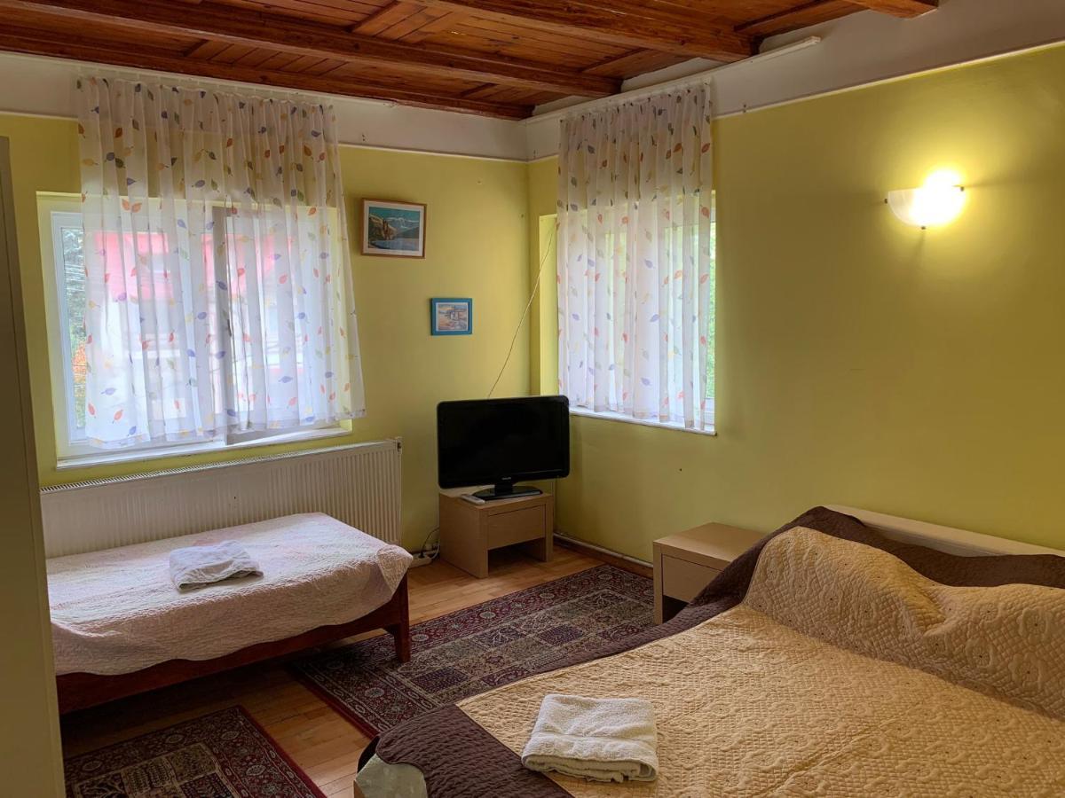 Cristina, Alex Si Prietenii Hotel Buşteni Екстериор снимка