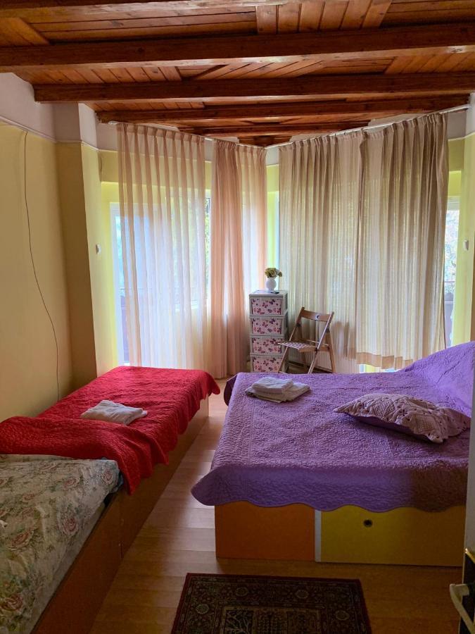 Cristina, Alex Si Prietenii Hotel Buşteni Екстериор снимка